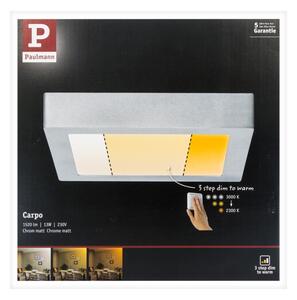 Paulmann 79794 - LED/13W Stropné svietidlo CARPO 230V 2300/2500/3000K