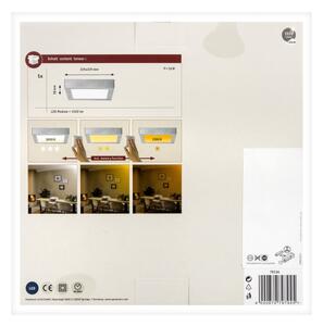 Paulmann 79794 - LED/13W Stropné svietidlo CARPO 230V 2300/2500/3000K