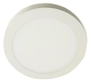 LED Stropné svietidlo GERRIT LED/12W/230V 4000K biela