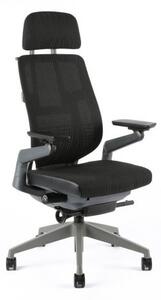 Kancelárska ergonomická stolička Office Pro KARME MESH — viac farieb Čierna A10
