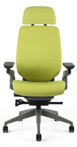 Kancelárska ergonomická stolička Office Pro KARME — viac farieb, s podhlavníkom a podrúčkami Modrá F03
