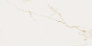Finezza Oro Pulido 60x120 R