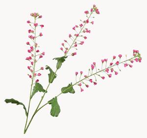 Rastlinné dekorácie Primula, 2 ks