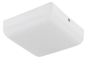 Globo 12388-8W - LED Stropné svietidlo MATTHEW LED/8W/230V biela