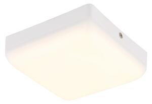 Globo 12388-8W - LED Stropné svietidlo MATTHEW LED/8W/230V biela