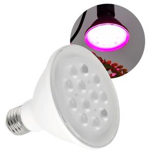 LED Žiarovka na rast rastlín VITABLOOM E27/9W/230V 1200K biela - Brilagi
