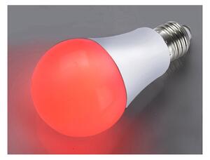 JUST LIGHT. 08132-14 - LED Žiarovka LILUCO E27/4W/230V červená