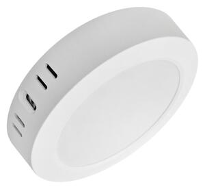 LED Stropné svietidlo ROUND LED/12W/230V 4000K pr. 16,7 cm biela