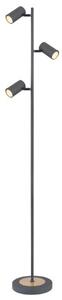 Globo 57910SG stojacia lampa ROBBY GU10