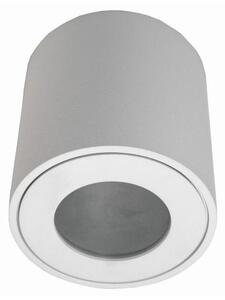 Vonkajšie stropné svietidlo FARA 1xGU10/50W/230V IP54 biela