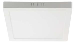 LED Stropné svietidlo LED/6W/230V 4000K 12x12 cm biela