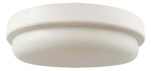 LED Kúpeľňové stropné svietidlo LED/12W/230V 4000K IP54 pr. 15 cm