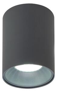 Brilagi - Bodové svietidlo TRINE 1xGU10/30W/230V antracit