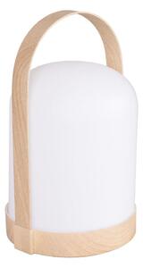 Dekoratívna stolná LED lampa RGBW MINORKA LED/0,3W/4,5V 3xAA
