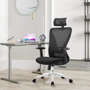 Kancelárska ergonomická stolička ERGO PLUS - čierna, nosnosť 150 kg
