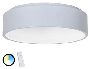 Sivé stropné LED Birte s diaľkovým ovládaním