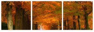 Obraz cesty lesom na jeseň (Obraz 90x30cm)