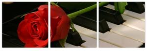 Obraz ruže na klavíri (Obraz 90x30cm)