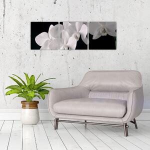 Obraz - biele orchidey (Obraz 90x30cm)