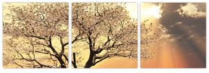Obraz prírody - strom (Obraz 90x30cm)