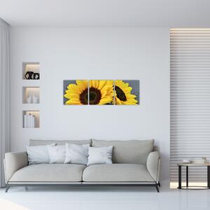 Obraz slnečnica (Obraz 90x30cm)