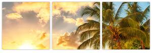 Obraz palmy na piesočnatej pláži (Obraz 90x30cm)