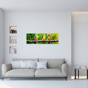 Moderný obraz - papagáje (Obraz 90x30cm)