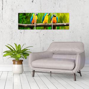Moderný obraz - papagáje (Obraz 90x30cm)