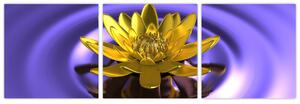 Obraz kvetu vo vode (Obraz 90x30cm)