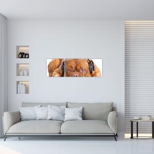Moderný obraz - pes so slúchadlami (Obraz 90x30cm)