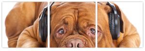 Moderný obraz - pes so slúchadlami (Obraz 90x30cm)