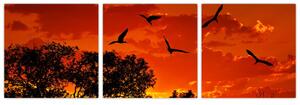 Obraz zapadajúceho slnka s vtákmi (Obraz 90x30cm)