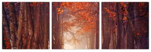 Jesenné les - obraz (Obraz 90x30cm)