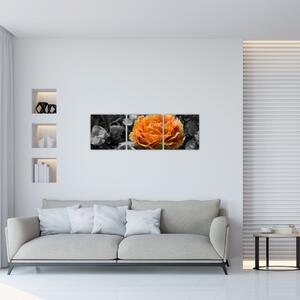 Oranžový kvet na čiernobielom pozadí - obraz (Obraz 90x30cm)