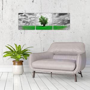 Zelený ostrov vo vyprahnutej krajine - obrazy do obývačky (Obraz 90x30cm)