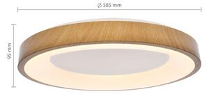 Brilagi - stmievateľné LED svietidlo DORIA LED/60W/230V 3000-6500K priemer 60 cm + diaľkové ovládanie
