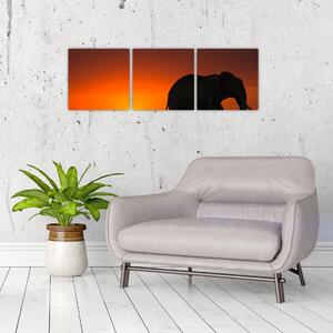Obraz slona v zapadajúcom slnku (Obraz 90x30cm)