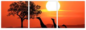 Obraz žirafy pri západe slnka (Obraz 90x30cm)