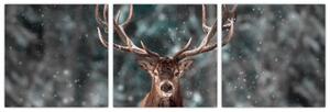 Obraz - jeleň v zime (Obraz 90x30cm)