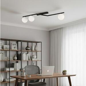 Stropné svietidlo NATON 3xE14/10W/230V čierna/biela