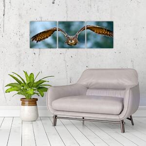 Obraz letiaci sovy (Obraz 90x30cm)