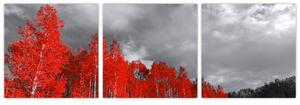 Červený les - moderný obraz (Obraz 90x30cm)