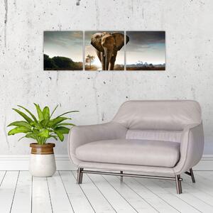 Obraz kráčajúceho slona (Obraz 90x30cm)