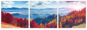 Obraz jesennej prírody (Obraz 90x30cm)