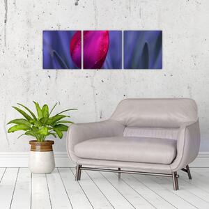 Obraz - tulipán (Obraz 90x30cm)
