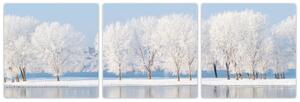 Obraz - zimná príroda (Obraz 90x30cm)
