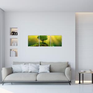 Moderný obraz - príroda (Obraz 90x30cm)