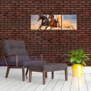 Moderný obraz koní (Obraz 90x30cm)