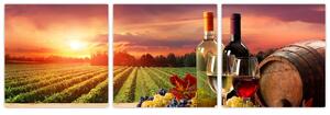 Obraz - víno a vinice pri západe slnka (Obraz 90x30cm)