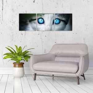 Obraz mačky, žiarivé oči (Obraz 90x30cm)